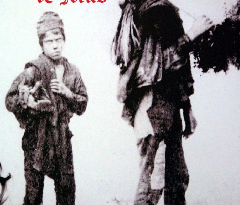Free Book: 08/29/2025 Mules; Masters & Mud by G J Griffiths